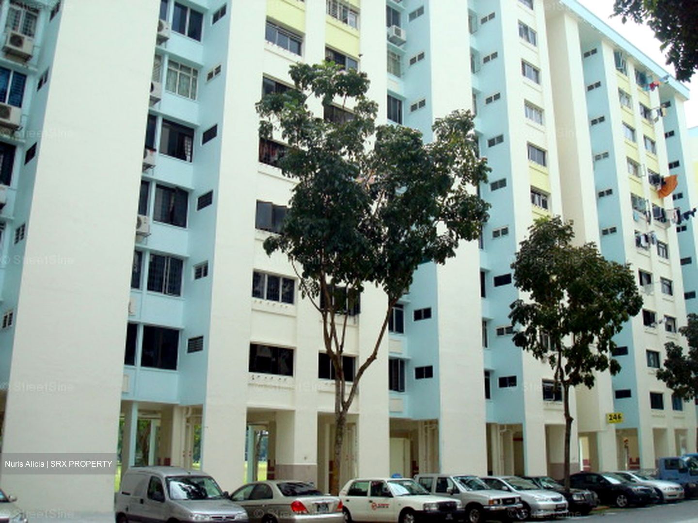 Blk 246 Yishun Sunshine (Yishun), HDB 4 Rooms #609029391